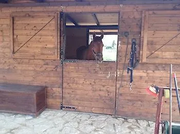 ** Hotel Agriturismo Paradiso Asciano Italy